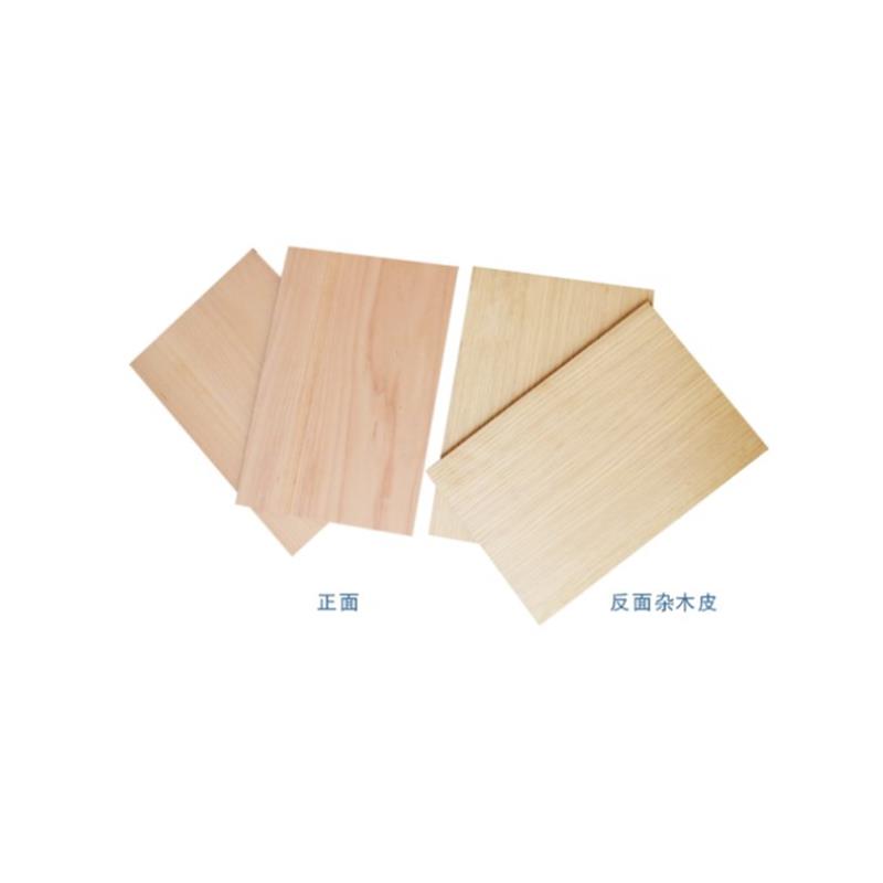 标格达涂料测试白榉浅色贴面胶合板山毛榉实木地板枫木面板