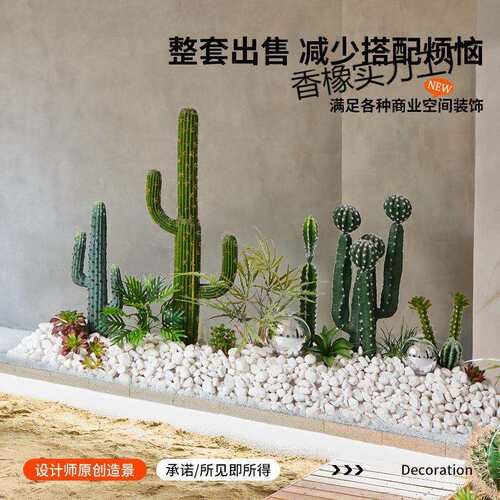仿真仙人掌造景球形热带植物盆栽橱窗楼梯下室内大型景观装饰摆件