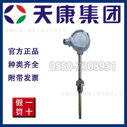 集团厂价直销 WZP-240G WZC-241G 固定螺纹防爆热电阻X20