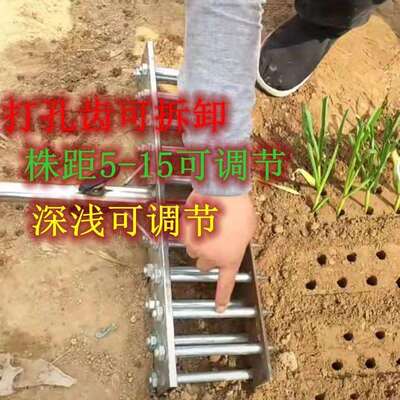 苗农用小叉型打孔栽葱神器种菜工RBK栽具器大葱种植子