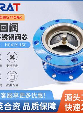 HC41X-16不锈钢芯不锈钢杆法兰消声止回阀单向逆止阀DN80100150
