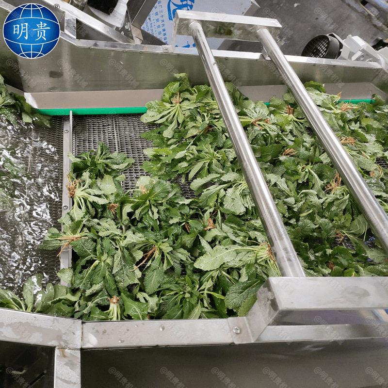 土豆丝气泡清洗机鼓泡喷淋洗菜机器蔬菜气浴喷淋清洗机
