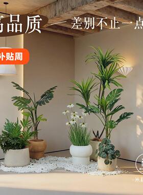 高级感仿真提根龟背芋盆栽逼真室内绿植客厅轻奢落地装饰无需养护