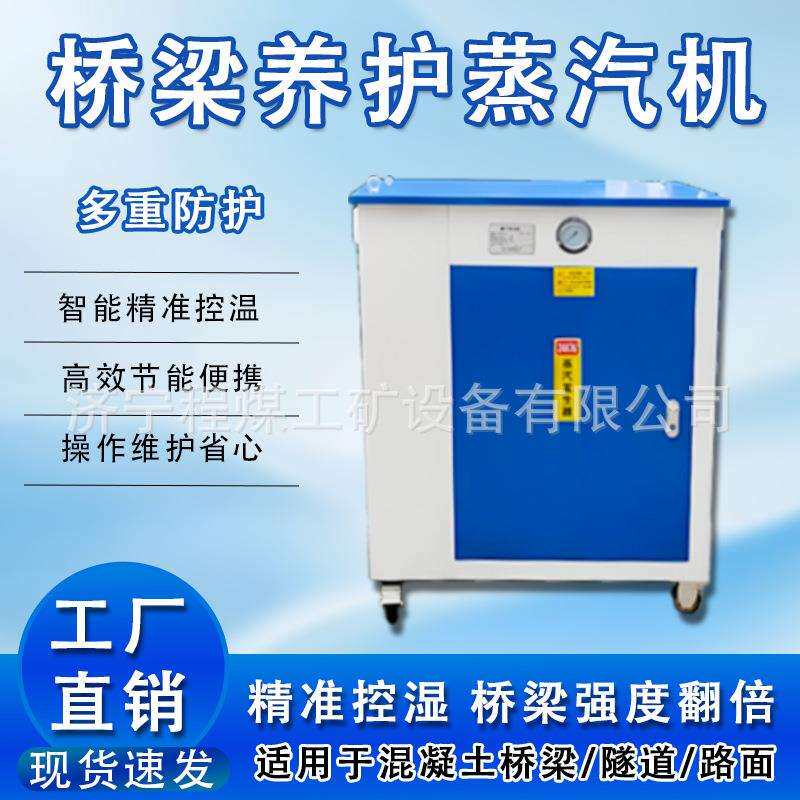 桥梁养护蒸汽机立式电动桥梁蒸汽养护器冬季养护电加热蒸汽发生器