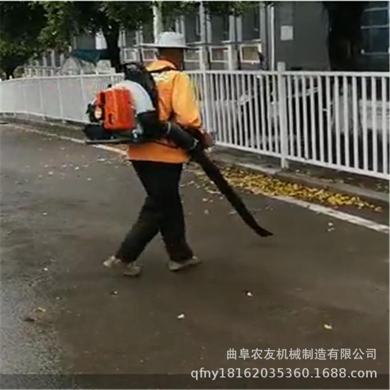 冬季积雪吹雪机二冲程背负式吹风机大功率背负式大棚汽油吹雪机