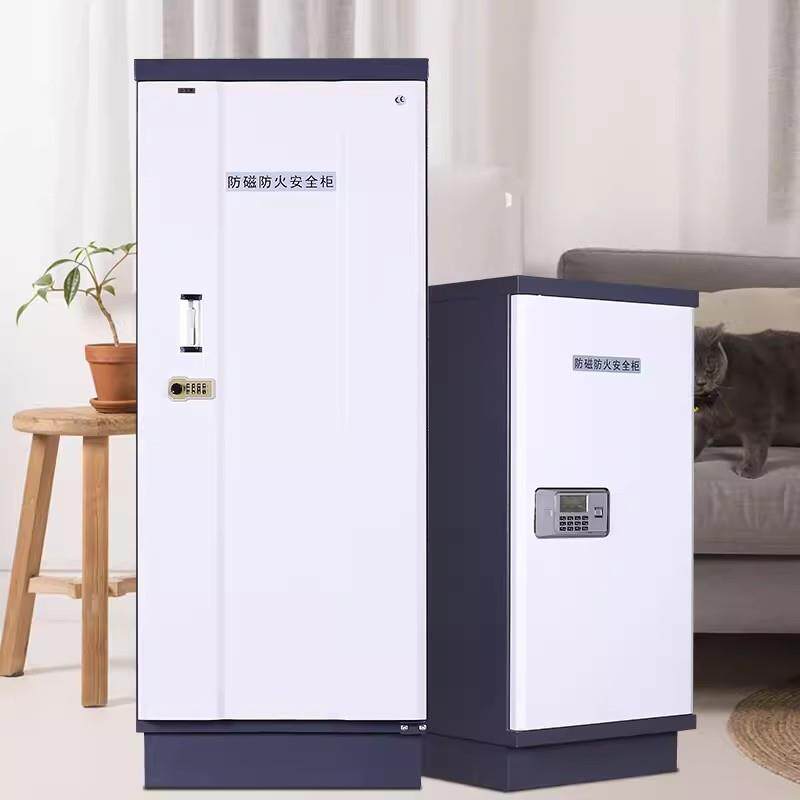 云南昆明防磁柜档案室信息安全柜带锁钢制防火防潮硬盘数据存放柜