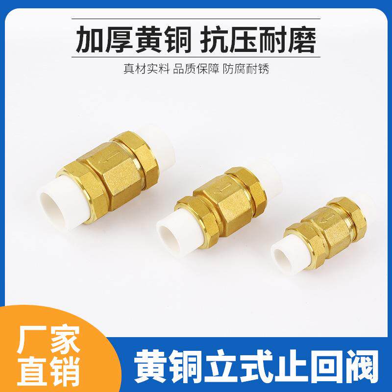 黄铜立式止回阀 PPR单向阀止逆阀水管管材管件配件厂家软密封