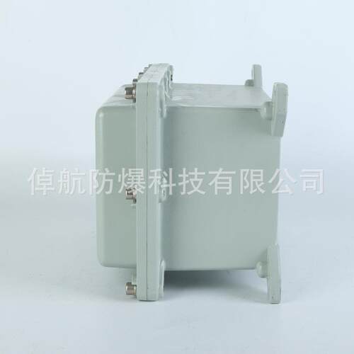 防爆配电箱多规隔防爆按钮箱爆型ⅡBT6 200×300×170防爆接线箱
