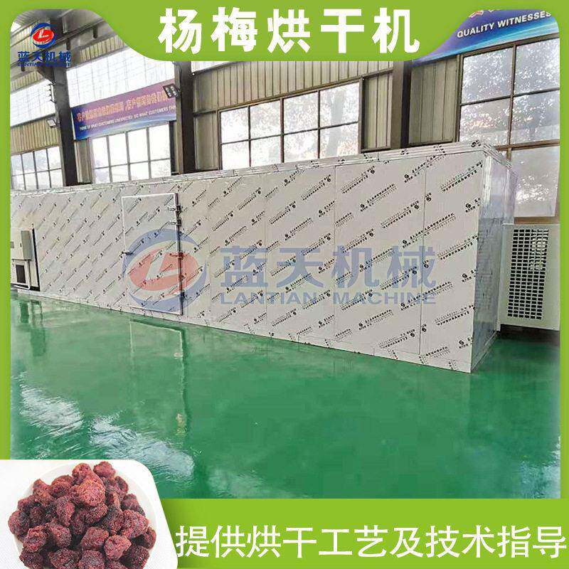 空气能杨梅烘干机大型白蒂梅树梅果脯烘干设备杨梅干脱水烘干房