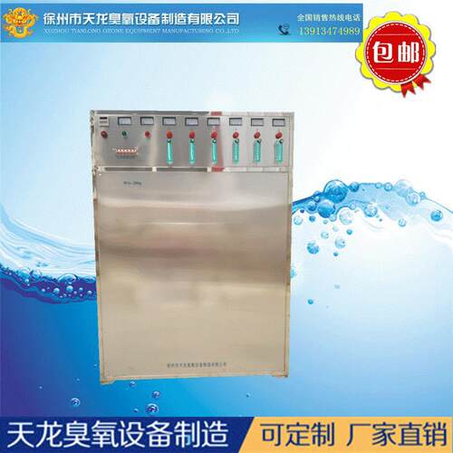 大型臭氧机设备WS- 200g臭氧发生器水处理 曝气式水消毒污水处理