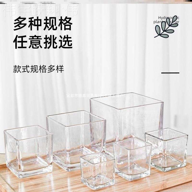 简约水培花盆正方形玻璃花瓶透明绿萝水养植物器皿乌龟缸摆件插花