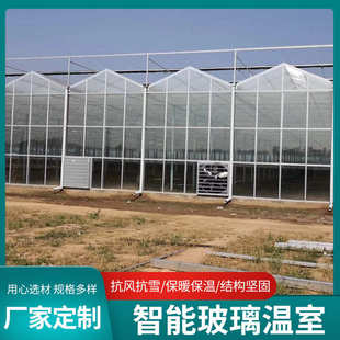 阳光连栋休闲观光温室玻璃农业养殖大棚 厂家定制玻璃温室大棚