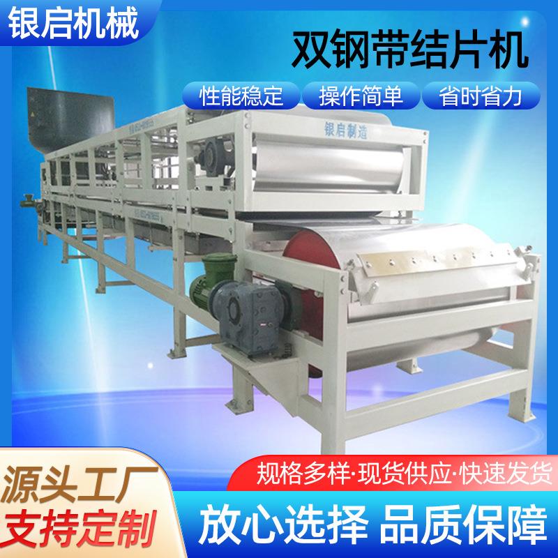 厂家供应双钢带结片机高中低档不锈钢造粒机结片机化工设备