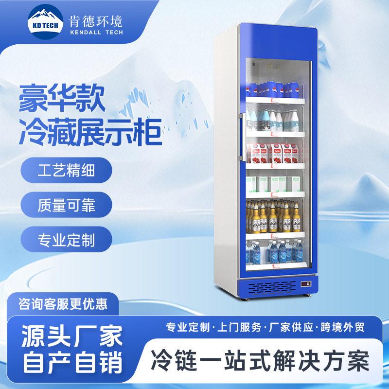 门风冷饮料冷柜商超酒水立式保鲜冷藏柜跨境商用展示冰柜定制