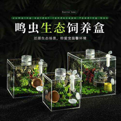 蝈蝈笼子小方盒透明透气观赏罐造景饲养箱攀爬鸣虫生态盒马蛉蟋蟀