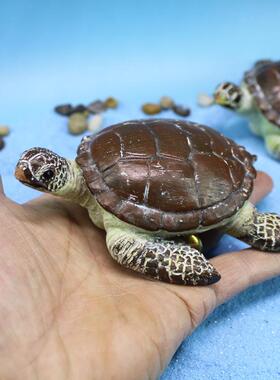 新款直销跨境海洋系列海龟摆件水族馆仿真花园微景观动物装饰品树