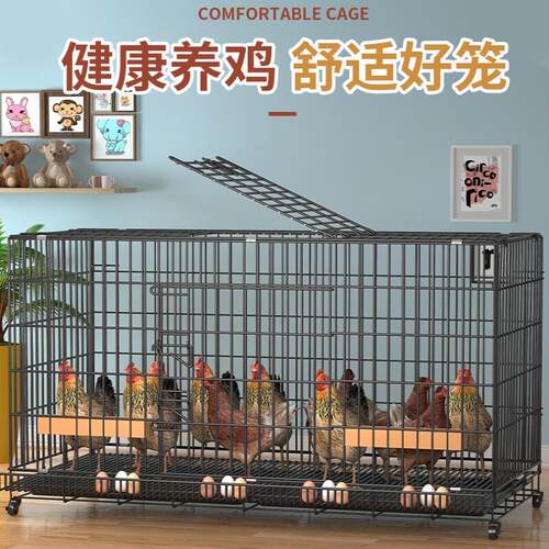 鸡鸭鹅围养护栏围栏畜牧户外铁丝网养殖移动可折叠养鸡拦鸡箱网子