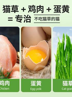 猫草冻饼干猫草粒化毛球片猫磨零食猫草棒干牙猫薄荷干 增肥猫QW2