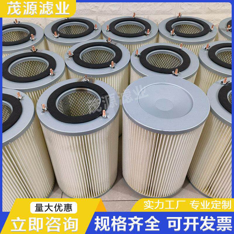 吊装三螺杆除尘滤芯工 业集尘器滤筒 喷砂抛丸机除尘滤筒粉尘滤芯