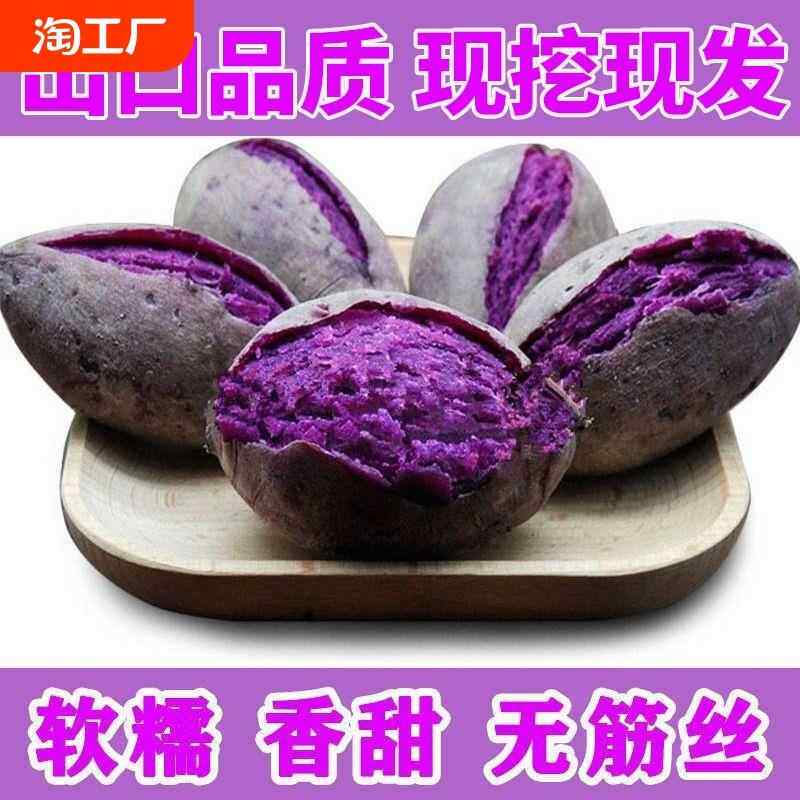 新鲜沙土紫罗兰紫薯沙地番薯甜农家包邮地瓜紫心紫红薯薯类现挖