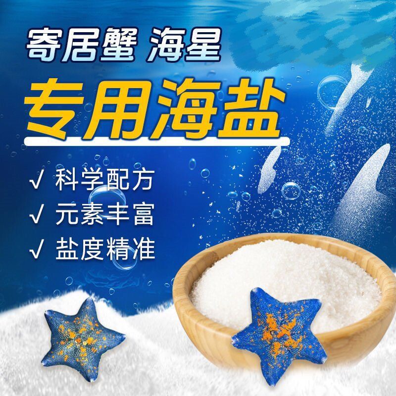 寄居蟹批发海星其它水族用具设备