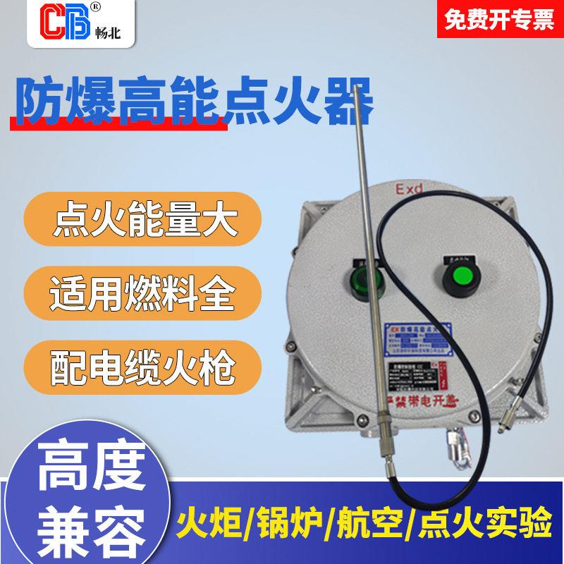 荒煤气焦炉气点火设备能点火装置防爆型加热炉工业炉点火装置