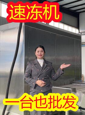果蔬速冻机 水果蔬菜保鲜速冻设备 全自动工业冷冻设备