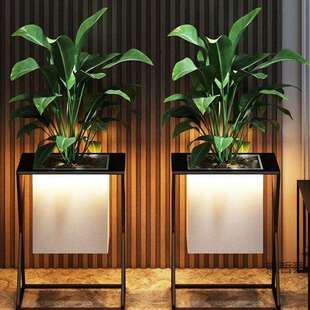 花盆架室内个性 饰 花架客厅摆件落地立体网红大装