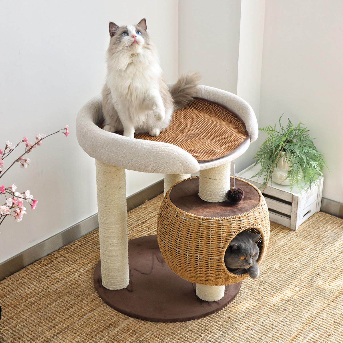 肥猫福音！网红大床猫爬架藤编猫窝猫树一体大型布偶缅因猫剑麻