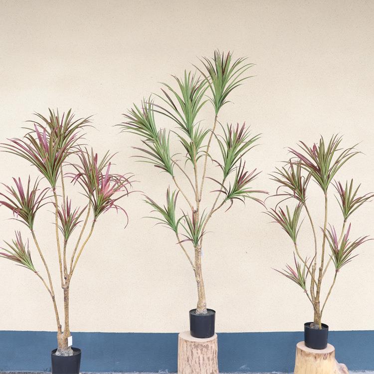 仿真龙血树植物盆栽假绿植摆件仿真铁树庭院景观树真绿植摆件