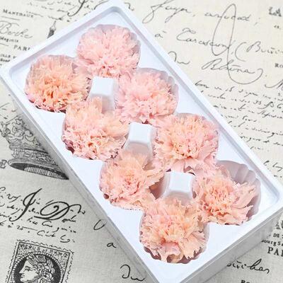 Magic Flower Eternal Flower Class B Carnation Whole Box Flo