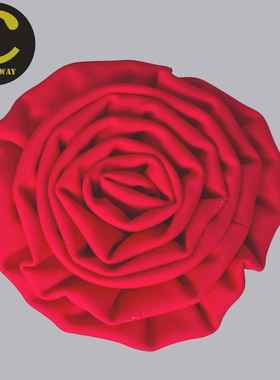 正品配Colo花rwy/康乐为云朵绒哑光锦纶高光拉丁舞练习比赛a头饰4