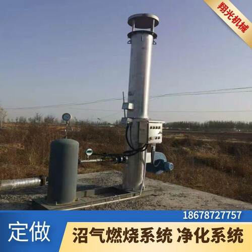 100立方沼气火炬燃烧火炬系统整套脱硫净化阻火器系统