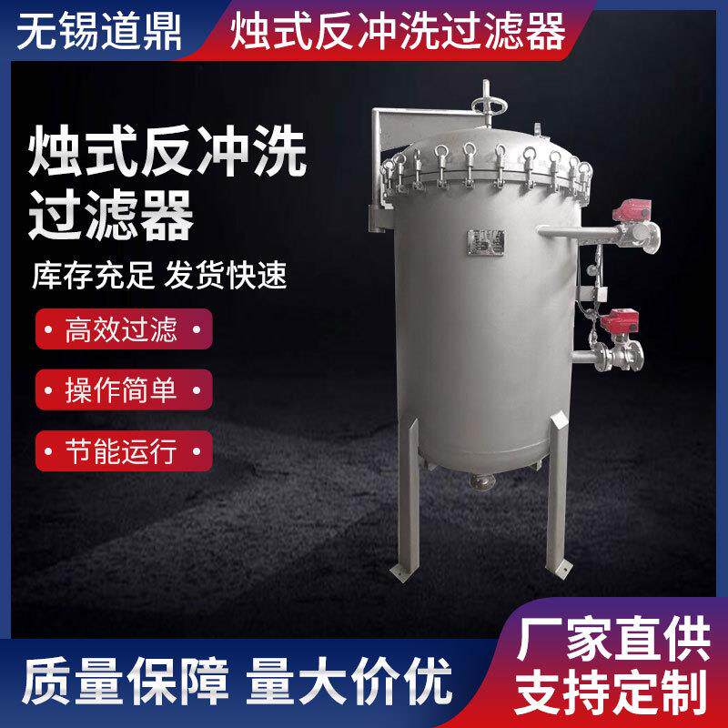 烛式反冲洗过滤器厂家PA烧结滤芯精密过滤器全自动反冲洗式