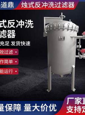 烛式反冲洗过滤器厂家PA烧结滤芯精密过滤器全自动反冲洗式