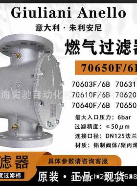 朱利安尼过滤器70650F/6B燃气工业气体管道过滤器70631F/6B高精
