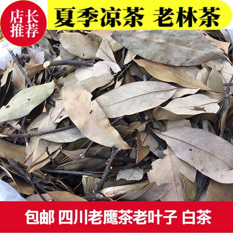 四川宜宾特产 筠连老鹰茶散装老林茶老人茶土茶白茶饭店餐馆专用