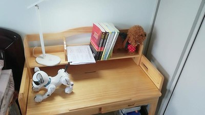 儿童套装可升降家用小孩写字桌椅口碑评测啥样?被曝缺点比优点多了