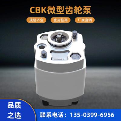 升降机提升机齿轮泵 小排量齿轮油泵CBK系列齿轮泵微型液压齿轮泵
