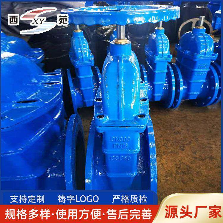 信号闸阀 国标赣马体明暗杆软密封法兰附开度阀门XZ45X 做工精致