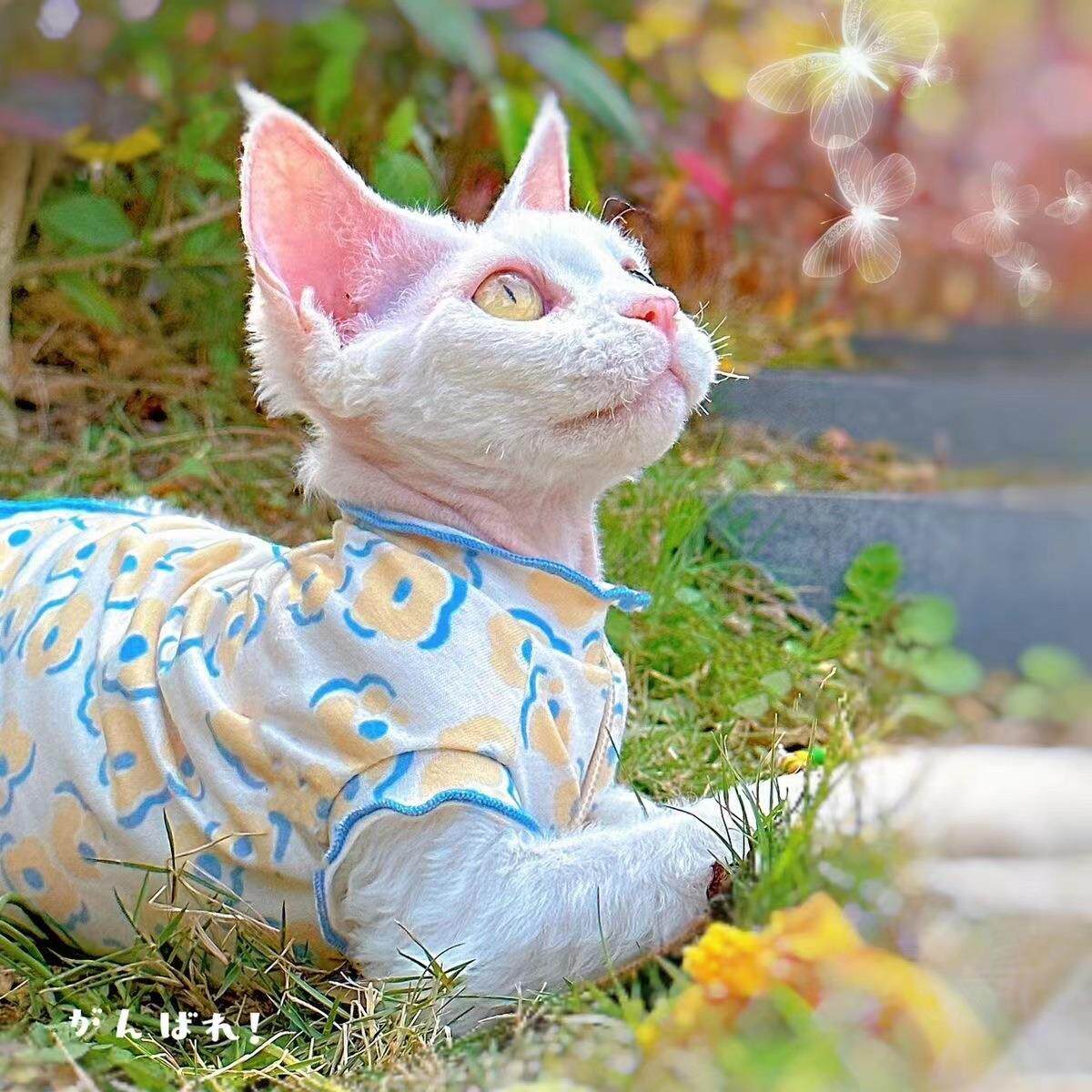 夏季猫咪衣服轻薄透气猫咪打底服斯芬克斯德文小型幼犬无毛猫衣服