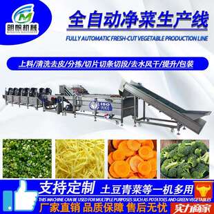 大型椰花气清泡洗机流线 中水房净菜生产线 LOT果蔬深加工设菜备