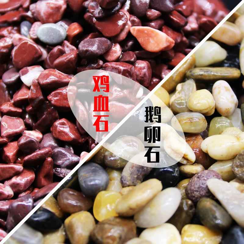 鸡血石鱼缸装饰鸡血砂造景石摆件水族箱雨花石鹅卵石布景砂子石子