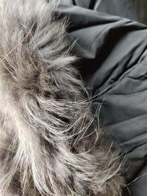 入手199-冰洁貉子大毛领中长羽绒服怎么样？真相评测不吹不黑诉说
