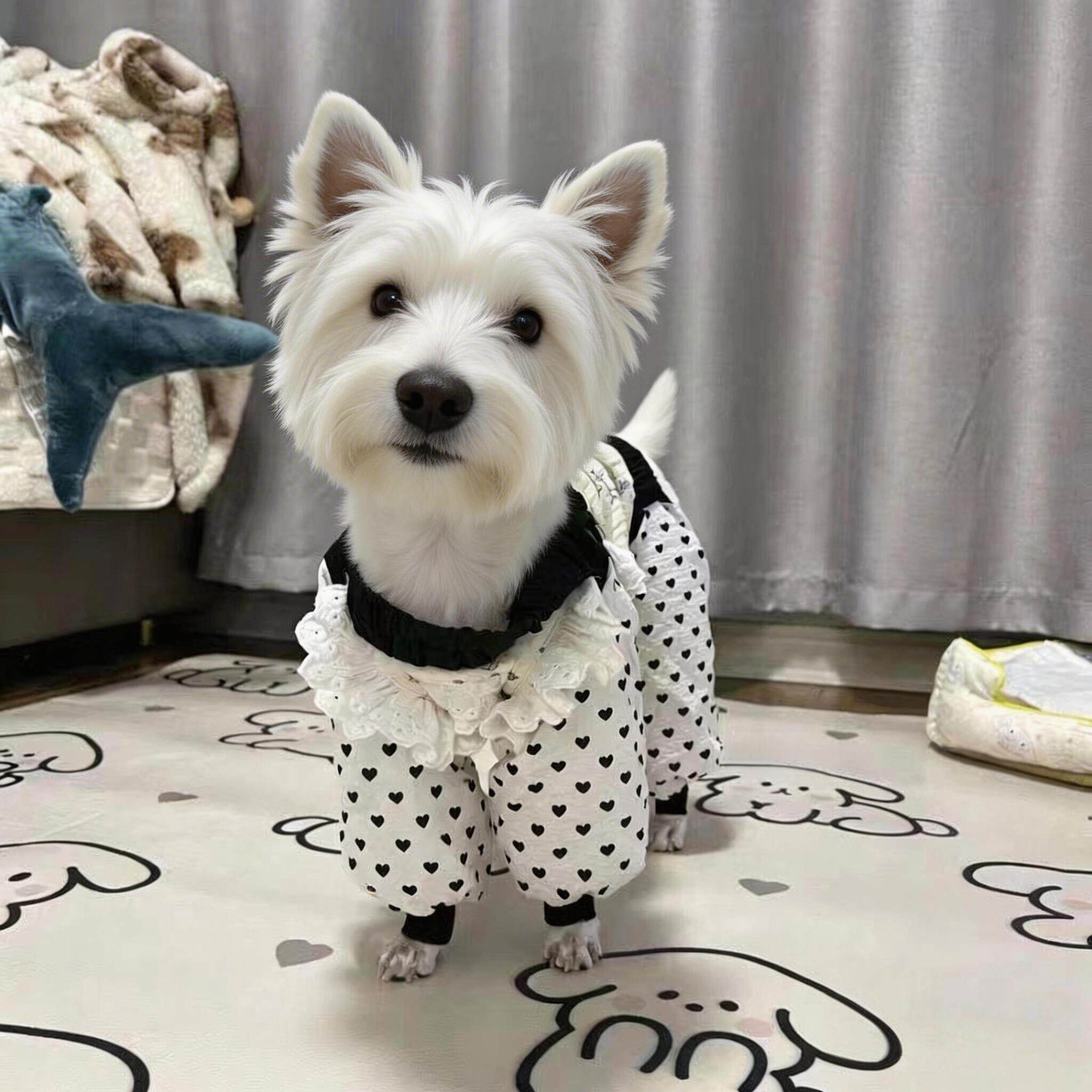 西高地狗狗专用四脚防尘裤罩衣薄款外出遛狗遛弯衣服幼犬防脏腿套