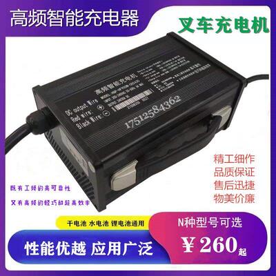 电动叉车充电器12V15A20A24V10A15A20A30A40A50A 干水锂电池通用
