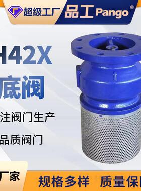 H42X-16Q底阀球墨铸铁材质不锈钢滤网水泵止回阀门DN50-400