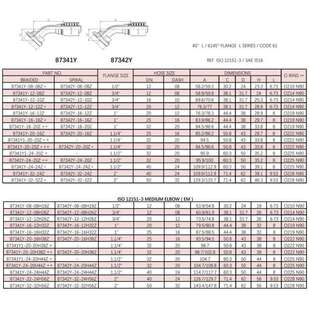供应AE法兰-3000PSI一体式扣压式软管接头873S41Y-1221法兰接头