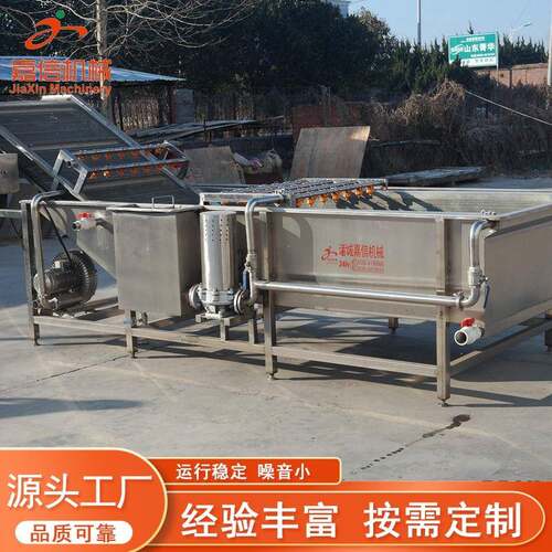 全自动果蔬清洗机鼓泡喷淋冲浪清洗机不锈钢玉米蔬菜气泡清洗机