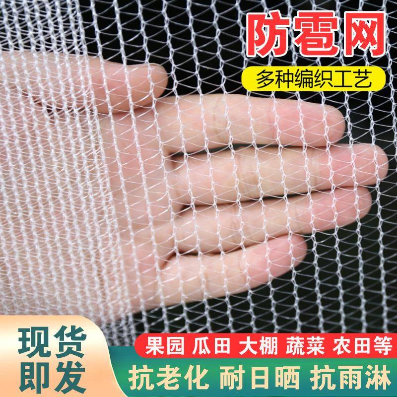 白色防冰雹网葡萄果园聚乙烯蔬菜农场农田果树花卉防雹网
